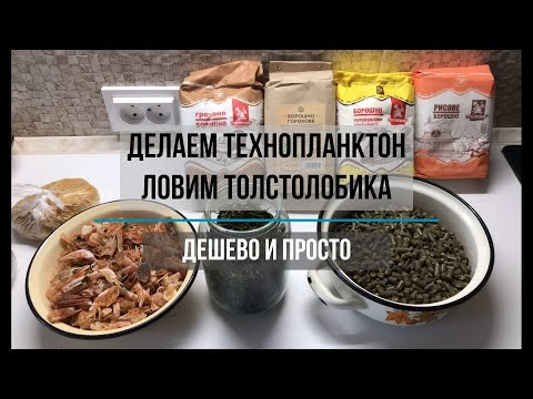 Видео: Тайны технопланктона на толстолобика. Как сделать. Правильный состав. Пропорции. Как работает в воде