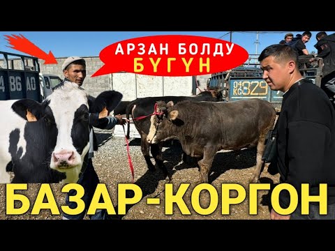 Видео: Базар-Коргон мал базары.