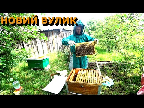Видео: Бджільництво для душі.Серія. 5 Потягли КУПИВ НОВИЙ ВУЛИК...