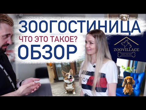 Видео: Отель для животных, что это такое? | Зоогостиница для собак и кошек моего подписчика | Zoovillage