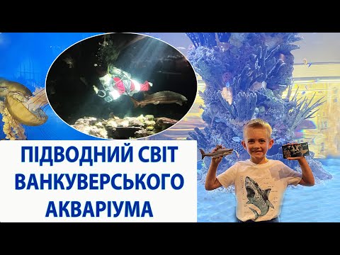 Видео: Підводний світ Тихого океану в акваріумі Ванкувера. Vancouver Aquarium