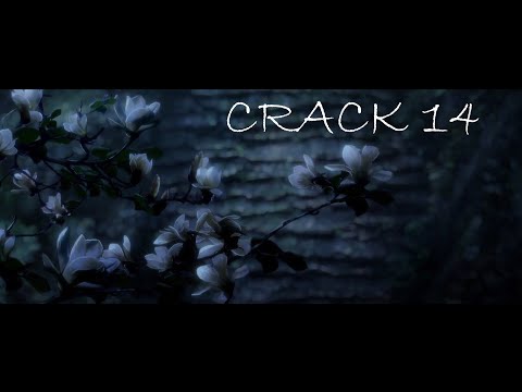 Видео: [Mo Dao Zu Shi|Магистр дьявольского культа|The Untamed|Неукротимый] Crack №14 (rus)