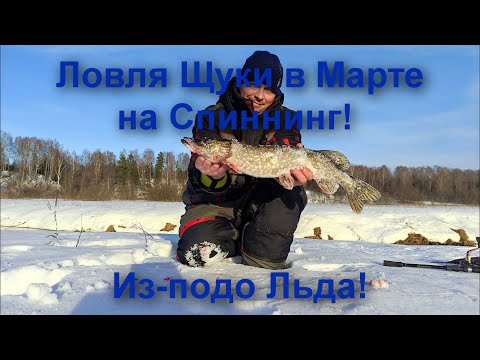 Видео: Ловля Щуки в Марте на Спиннинг из - подо льда!