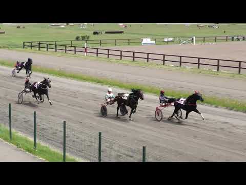 Видео: 31.05.2025г. Абаканский Ипподром лошади рысистых пород старшего возраста 1600м