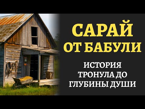 Видео: Моё наследство — сарай на болоте, брату — особняк. Но когда я зашла в сарай, обомлела. Аудиорассказ