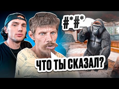 Видео: КОНФЛИКТ ВАЛЕРЫ ФРИСТАЙЛО со ЗЛЫМ ПОСЕТИТЕЛЕМ! 👊 ВАЛЕРА ОБЩАЕТСЯ с ОБЕЗЬЯНАМИ В ЗООПАРКЕ