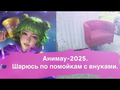 Видео: Анимау-2025. Шарюсь по помойкам с внуками. 