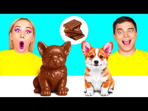 Видео: Челлендж. Шоколадная Еда vs Настоящая Еда | Кулинарная Битва с Едой от TeenChallenge
