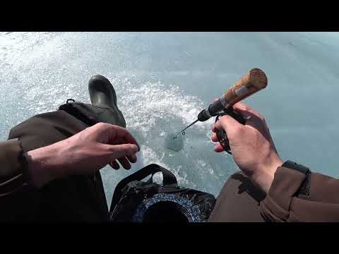 Видео: В этот раз рыбалка прям удивила!!!! Рыбалка на карьерах Хакасии!!!