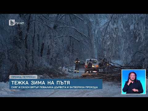 Видео: Опасна ситуация на "Петрохан": Клон се стовари върху колата на екип на bTV | БТВ