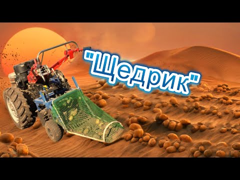 Видео: Щедрик-щедрик... Перший раз копаю таку картоплю. Урожайність?