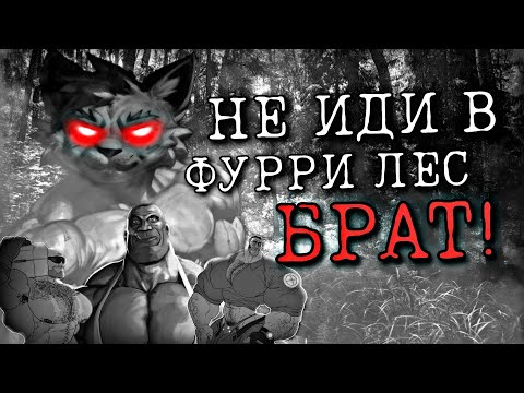 Видео: НЕ ИДИ В ФУРРИ ЛЕС БРАТ! [МГЕ СТРАШИЛКА]