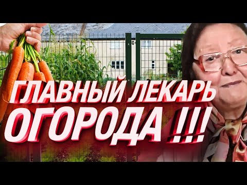 Видео: ОВОЩИ ОПАСНЫ ! Вы этого не знали про .... #здоровье #народнаямедицина #питание #овощи #диета