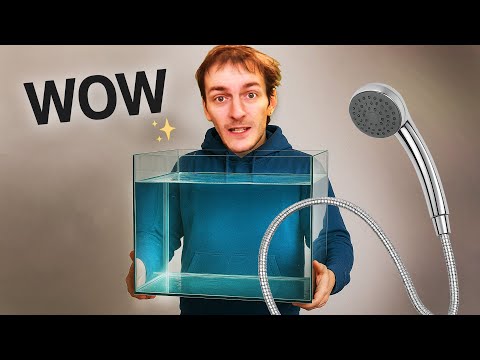 Видео: Аквариум ПУТЬ К МЕЧТЕ