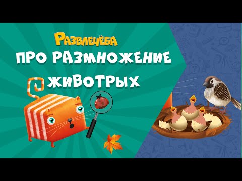 Видео: Развлечёба. Окружающий мир. Про размножение и развитие животных