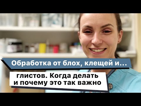 Видео: Обработка от блох, клещей, глистов собак и кошек. Когда делать и почему это важно