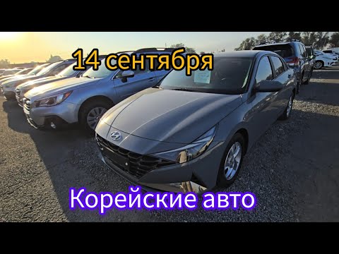 Видео: Авторынок Бишкека на 14 сентября.корейские 