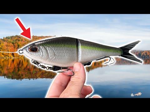 Видео: Эта НОВАЯ приманка Berkley — ЧИТ-КОД на большого окуня!