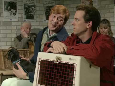 Видео: К ветеринарчику