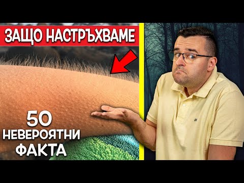Видео: 50 Невероятни Факта, които ще ИСКАТЕ да ПРОВЕРИТЕ дали са ИСТИНА!