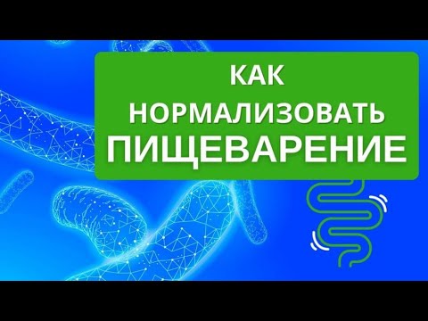 Видео: Пищеварение. Как нормализовать ЖКТ. Логичный понятный натуральный подход