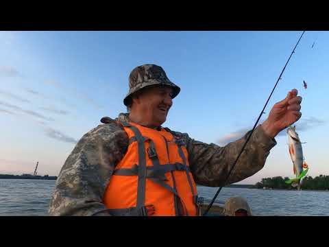 Видео: Рыбалка в Новосибирске на Обском море.