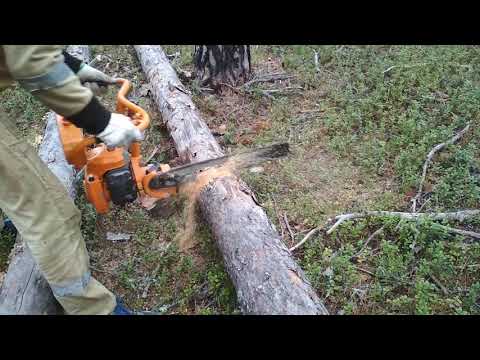 Видео: Советская бензопила Дружба