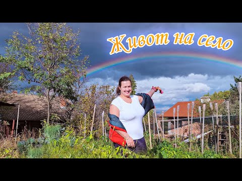 Видео: Живот на село - как се подготвяме за зимата + дъга