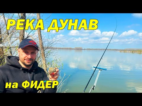 Видео: ПРОЛЕТЕН РИБОЛОВ на РЕКА ДУНАВ с ФИДЕР - River Danube