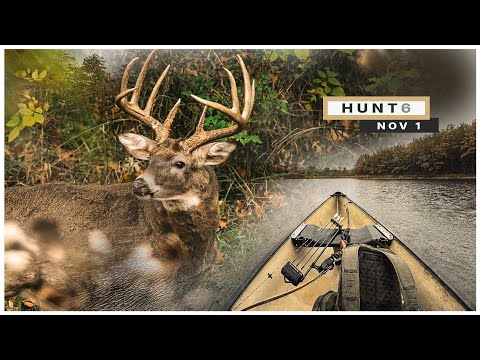 Видео: Каноэ. Изогнутая стрела. И мой лучший совет для дребезжания.