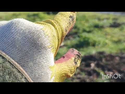 Видео: Скромненький коп по металлу!