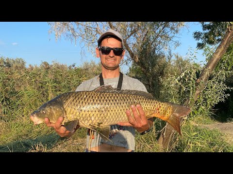 Видео: ЗАСЛУЖЕНА НАГОРОДА ЗА ДВІ ДОБИ! Дністер Маяки 