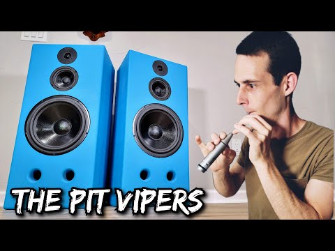 Видео: The Pit Vipers — акустическая система для аудиофильских вечеринок