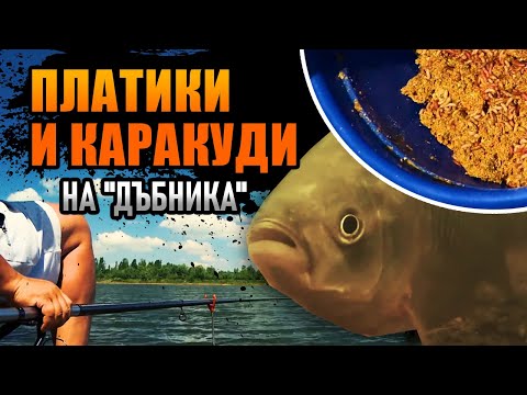 Видео: ПЛАТИКИ и КАРАКУДИ на "Дъбника" / С мач или болонезе, как е по-добре?