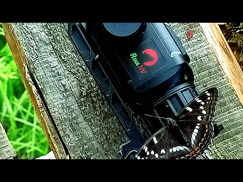 Видео: RikaNV MRS LRF 384-он же RikaNV DovoD 384L после месяца владения