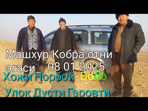 Видео: Улок Дусти Гаровти 3канал Камчатка 08 01 2025 Хожи Норбой бобо Машхур Кобра отни Эгаси