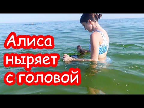 Видео: VLOG Кого из животных привезли Настя и Катя на море. Алиса ныряет