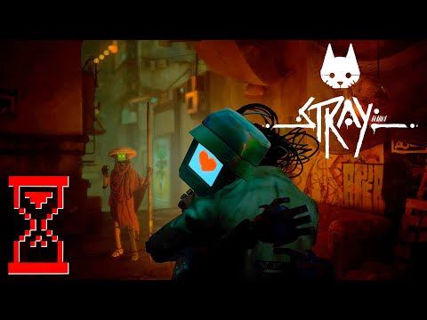 Видео: Док вернулся домой // Stray