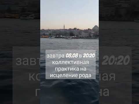 Видео: подробности в тг @tarosovety