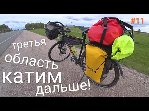 Видео: 11. Заехал в Новосибирскую область! Жрут комары! кругом болота!