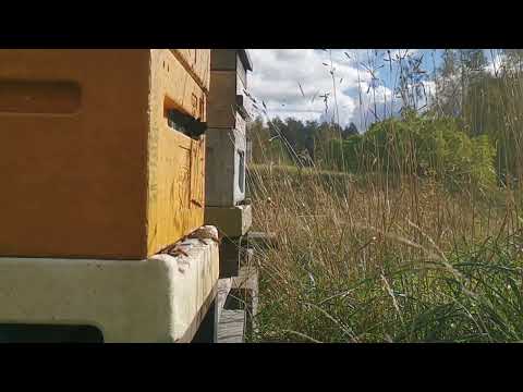 Видео: Останній обліт.