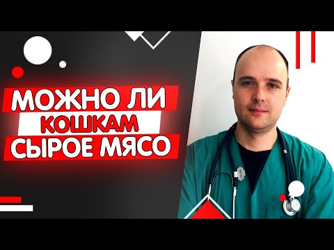 Видео: Можно ли кошкам сырое мясо? Какое мясо лучше давать кошке
