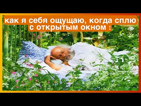 Видео: тикток с открытым окном | подборка мемов