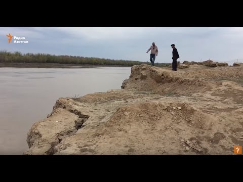 Видео: Сарайшык. Нуждающийся в спасении