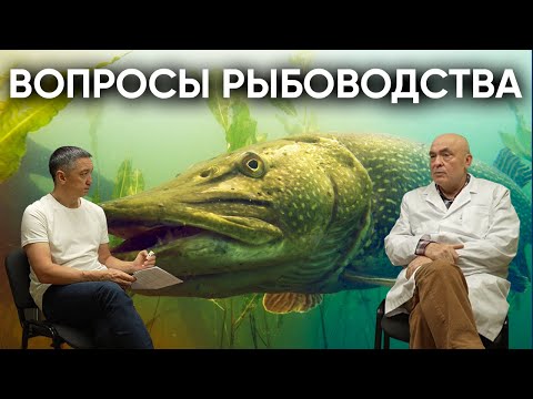 Видео: Разговор о Рыбах с Ихтиопатологом - большой выпуск! #пруд #ихтиолог #вопросы