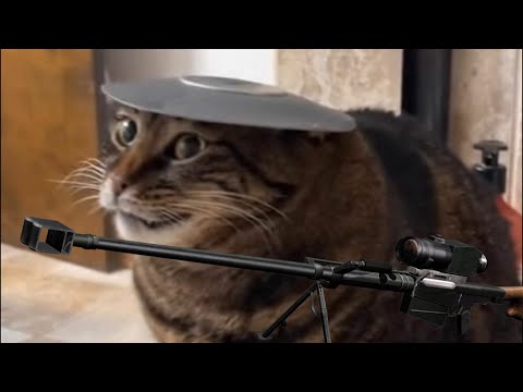 Видео: Посвящается ПТРД-М | STALCRAFT : X