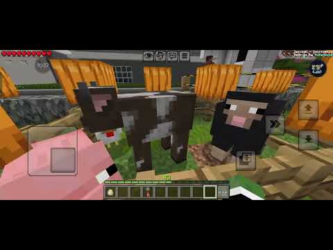 Видео: Ура! Сегодня хеллоуин 🎃🎃🎃