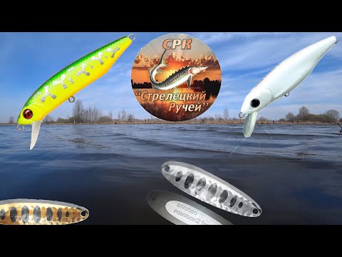 Видео: Щучка в Стрелецком Ручье