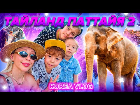 Видео: Паттайя влог 2/декабрь/Kirea vlog