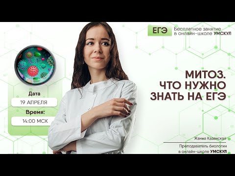 Видео: Митоз | Биология ЕГЭ | Умскул